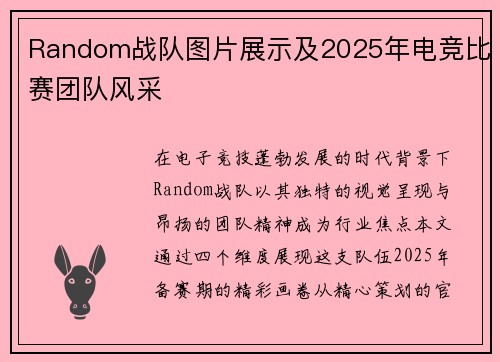 Random战队图片展示及2025年电竞比赛团队风采